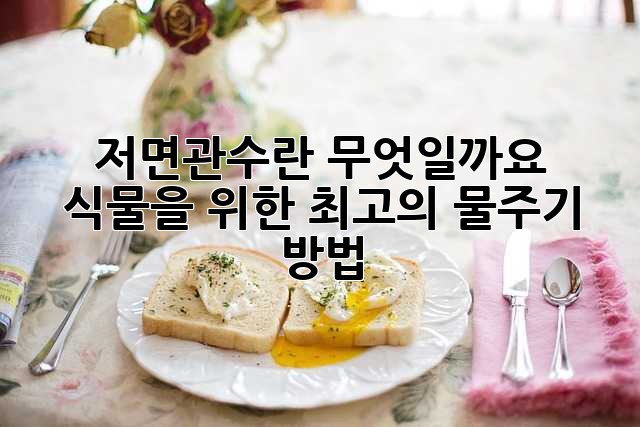 저면관수란 무엇일까요? 식물을 위한 최고의 물주기 방법!
