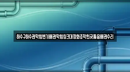 하수관 뚫음 프리미엄 경기 안양 동안구 호계동 3 업체