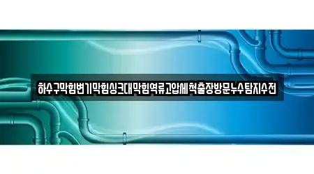 하수구막힘변기막힘싱크대막힘역류고압세척출장방문누수탐지수전