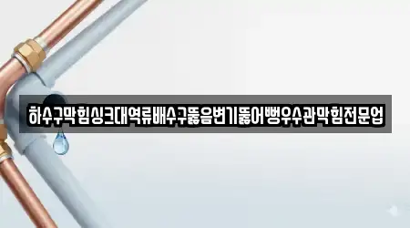 하수구막힘싱크대역류배수구뚫음변기뚫어뻥우수관막힘전문업