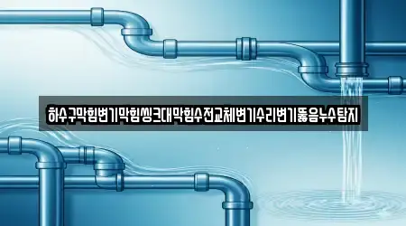 변기뚫음 우수 14 충청남도 공주 월송동 안내
