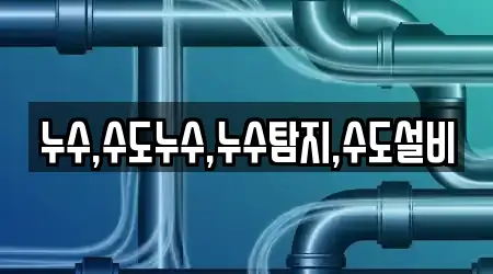 누수,수도누수,누수탐지,수도설비