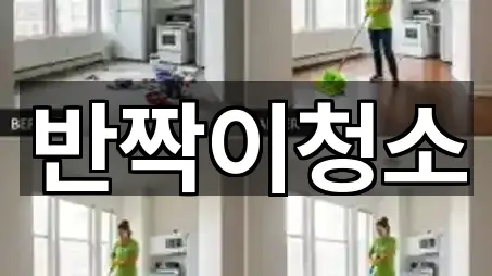 지도로 찾는 강원특별자치도 견소동 청소 · 5곳