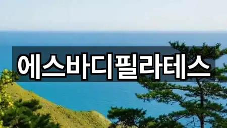 에스바디필라테스