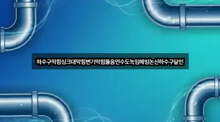 하수구막힘싱크대막힘변기막힘뚫음언수도녹임해빙논산하수구달인