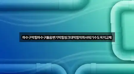 하수구막힘하수구뚫음변기막힘씽크대막힘악취샤워기수도꼭지교체