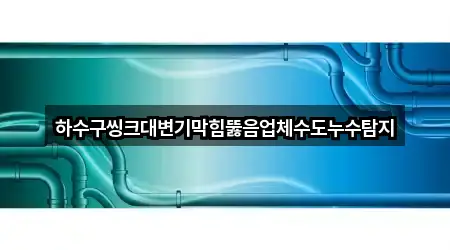 하수구씽크대변기막힘뚫음업체수도누수탐지