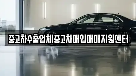 강원 춘천시 요선동 중고차매입 전문 중고차수출업체중고차매입매매지원센터