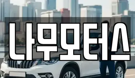 경기 부천시 원미구 상동 중고차 전문 나무모터스