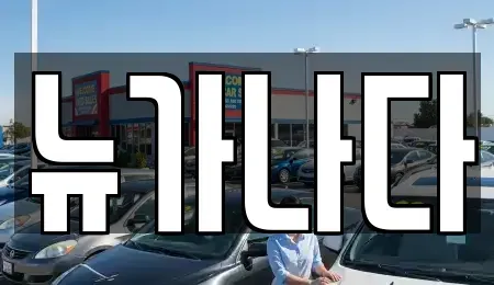 경기도 고양시 덕양구 신원동 렌트카 전문 뉴가나다