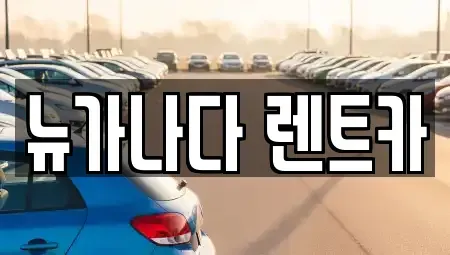 경기도 김포시 운양동 렌트카 전문 뉴가나다 렌트카