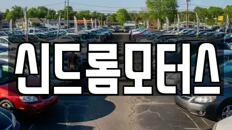 경기도 성남시 수정구 중고차매매 전문 신드롬모터스
