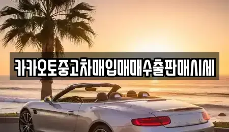경기도 성남시 수정구 중고차매입 전문 카카오토중고차매입매매수출판매시세