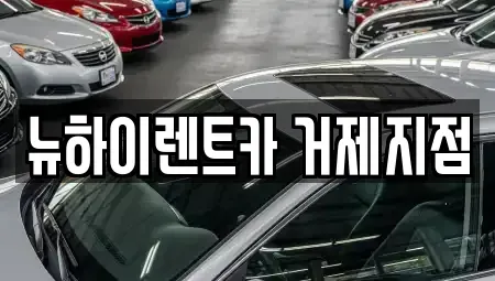 경남 거제시 장평동 렌트카 전문 뉴하이렌트카 거제지점