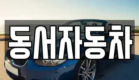 경남 거제시 장평동 중고차매매 전문 동서자동차