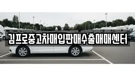 경남 거제시 장평동 중고차매입 전문 김프로중고차매입판매수출매매센터