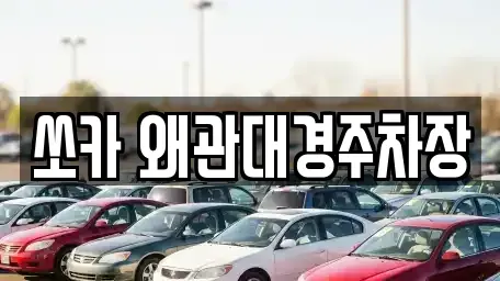 경북 칠곡군 왜관읍 렌트카 전문 쏘카 왜관대경주차장