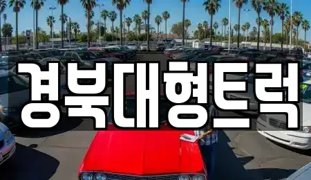 경북 칠곡군 왜관읍 중고차 전문 경북대형트럭