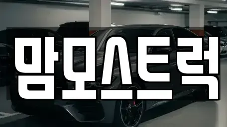 경북 칠곡군 왜관읍 중고차 전문 맘모스트럭