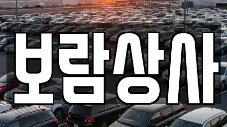 경상남도 진주시 정촌면 중고차매입 전문 보람상사