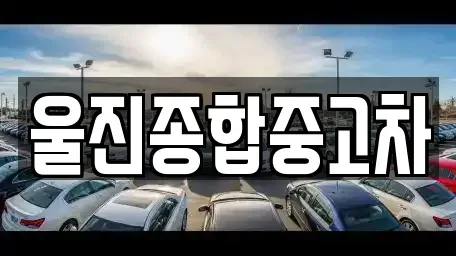경상북도 울진군 근남면 중고차 전문 울진종합중고차