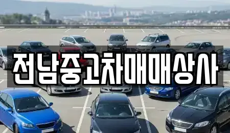 광주광역시 광산구 운남동 중고차 전문 전남중고차매매상사