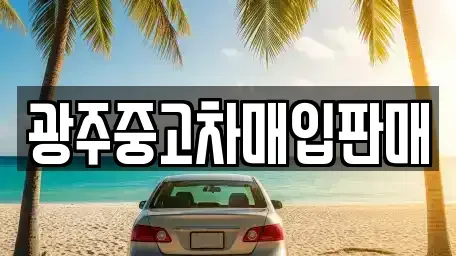 광주광역시 광산구 운남동 중고차매입 전문 광주중고차매입판매