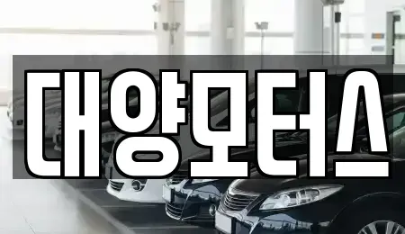 광주광역시 동구 동명동 중고차매매 전문 대양모터스