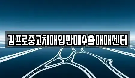 광주광역시 동구 동명동 중고차매입 전문 김프로중고차매입판매수출매매센터