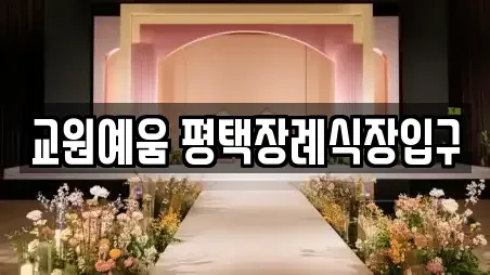 교원예움 평택장례식장입구