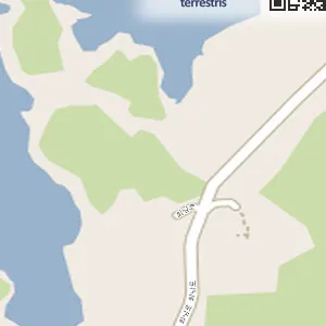 대전 동구 신하동 중고차 뉴신한모터스 위치