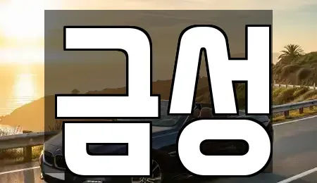 서울 도봉구 방학동 렌트카 전문 금성