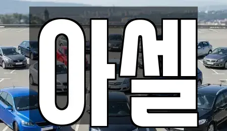 서울 도봉구 방학동 장기렌트카 전문 아셀