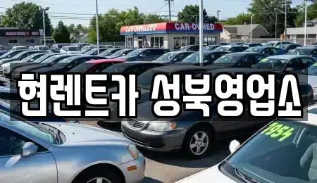 서울 성북구 보문동6가 렌트카 전문 현렌트카 성북영업소