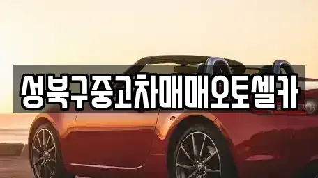 서울 성북구 보문동6가 중고차 전문 성북구중고차매매오토셀카