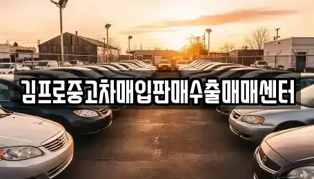 서울 성북구 보문동6가 중고차매입 전문 김프로중고차매입판매수출매매센터