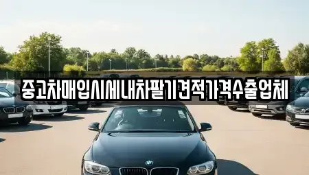 서울 성북구 보문동6가 중고차매입 전문 중고차매입시세내차팔기견적가격수출업체