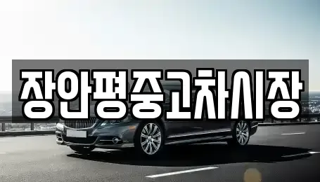 서울특별시 영등포구 도림동 중고차 전문 장안평중고차시장