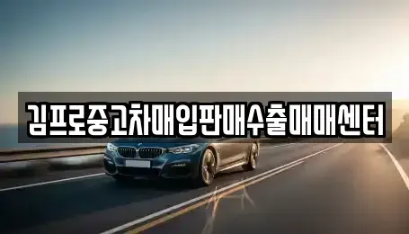 서울특별시 영등포구 도림동 중고차매입 전문 김프로중고차매입판매수출매매센터