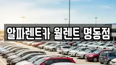 서울특별시 중구 명동1가 렌트카 전문 알파렌트카 월렌트 명동점