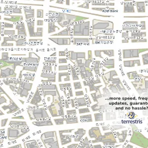 서울특별시 중구 명동1가 중고차 인증자동차 위치