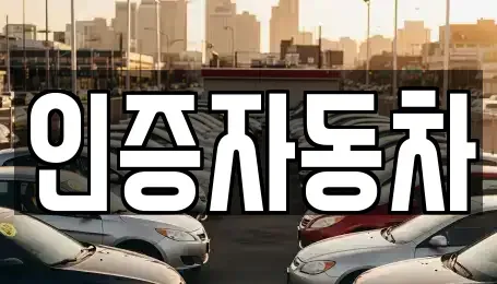 서울특별시 중구 명동1가 중고차 전문 인증자동차