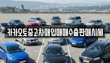 인천 중구 항동2가 중고차매매 전문 카카오토중고차매입매매수출판매시세