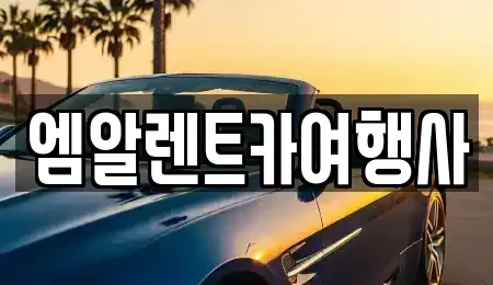 충남 공주시 금흥동 렌트카 전문 엠알렌트카여행사