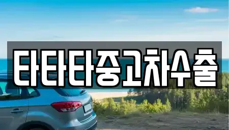 충북 충주시 목벌동 중고차매매 전문 타타타중고차수출