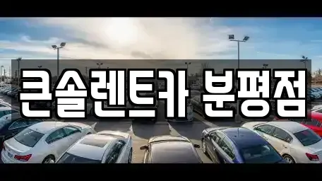 충청북도 청주시 서원구 장성동 렌트카 전문 큰솔렌트카 분평점