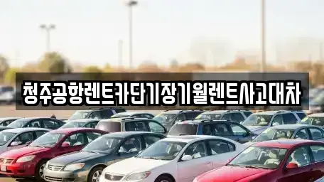 충청북도 청주시 서원구 장성동 장기렌트카,중고차,렌트카,단기렌트카,중고차매입,중고차매매